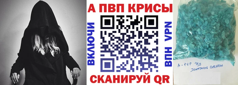 omg ONION  Цоци-Юрт  APVP СК 