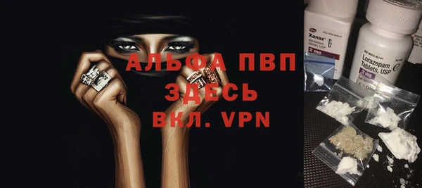 спиды Верея