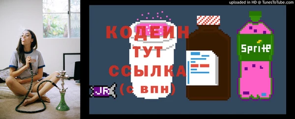 спиды Верея