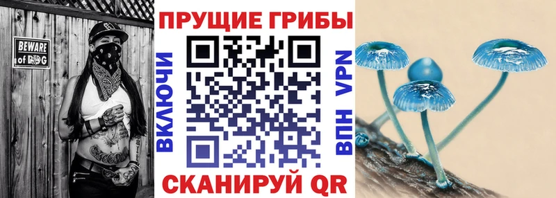 закладка  Цоци-Юрт  Галлюциногенные грибы MAGIC MUSHROOMS 